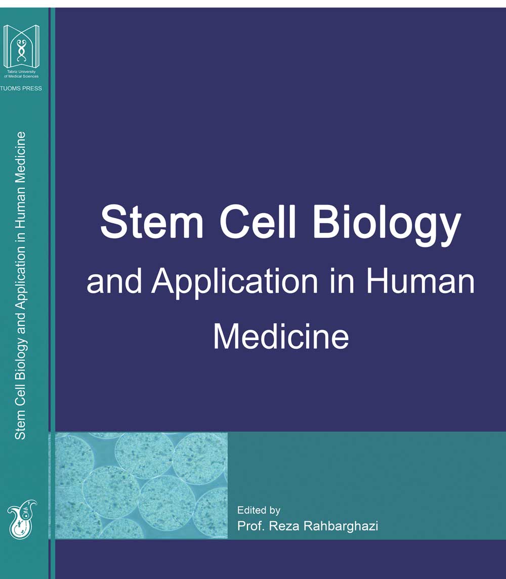Stem Cell Biology and Application in Human Medicine 